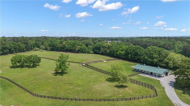 14501 Woolsey Rd, Hampton, GA 30228 - overview of rural landscape featuring a heavily wooded area and agricultural land