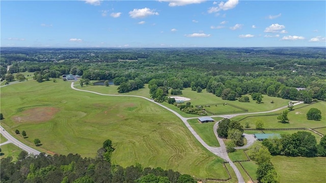 14501 Woolsey Rd, Hampton, GA 30228 - aerial view of property and surrounding area featuring a forest