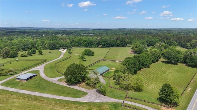 14501 Woolsey Rd, Hampton, GA 30228 - overview of rural landscape featuring a forest