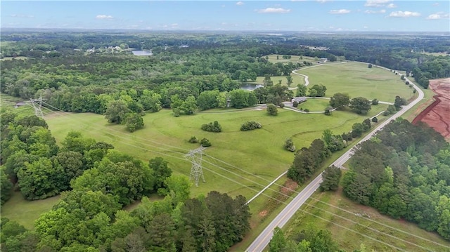 14501 Woolsey Rd, Hampton, GA 30228 - bird's eye view of a heavily wooded area