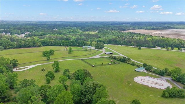 14501 Woolsey Rd, Hampton, GA 30228 - overview of rural landscape featuring a forest