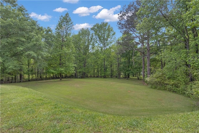 14501 Woolsey Rd, Hampton, GA 30228 - view of grassy yard