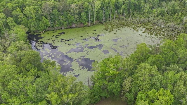 14501 Woolsey Rd, Hampton, GA 30228 - bird's eye view of a forest and a nearby body of water
