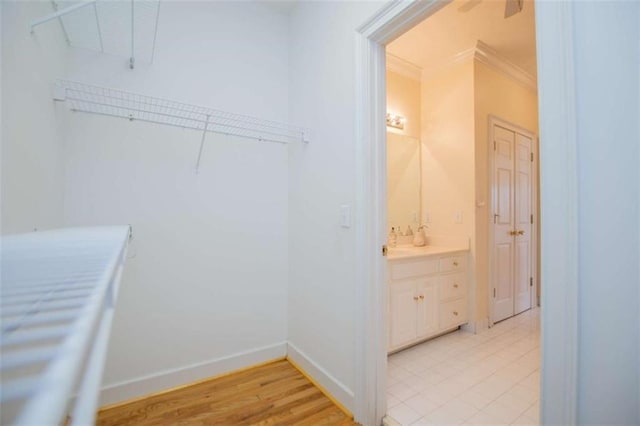 view of walk in closet