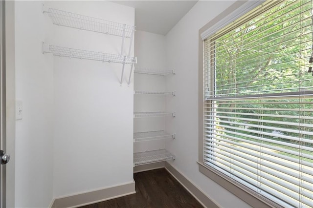 103 Willow Wood Cir SE, Atlanta, GA 30317 - walk in closet featuring dark wood-type flooring