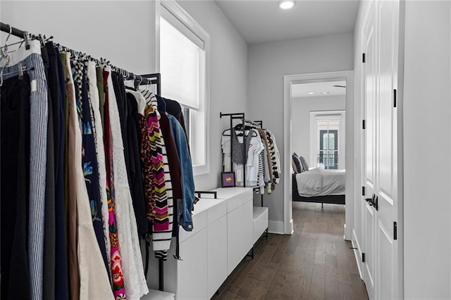 spacious closet featuring dark wood-type flooring