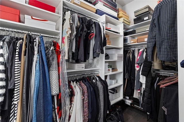 walk in closet with wood finished floors