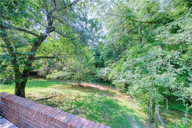 4581 Newcastle Cir, Lithonia, GA 30038 - view of green lawn