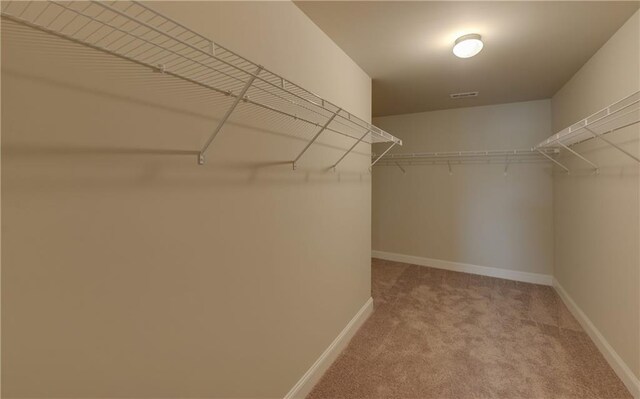 spacious closet featuring light colored carpet