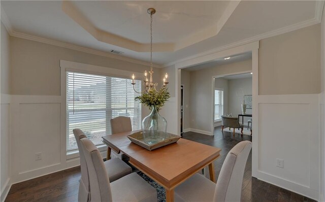 dining space featuring a tray ceiling, plenty of natural light, and dark wood-type flooring