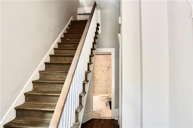 stairway with hardwood / wood-style floors