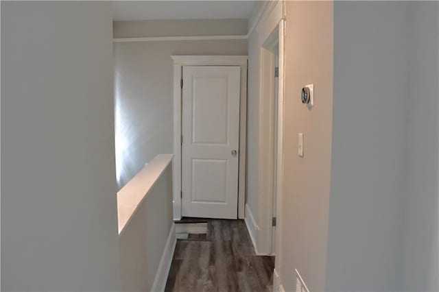 hallway with dark wood-type flooring