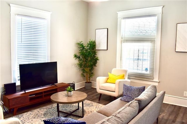 living room with hardwood / wood-style flooring