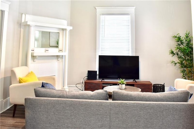 living room with hardwood / wood-style flooring