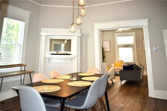 dining space featuring ornamental molding, dark wood-type flooring, and a healthy amount of sunlight