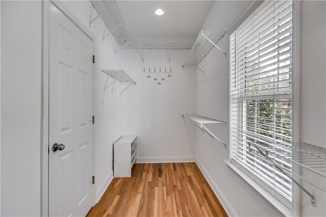 spacious closet featuring light wood-type flooring