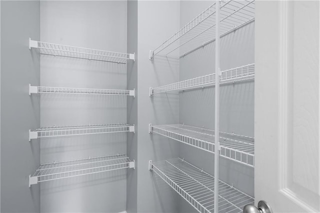 2595 Glaramara Ter, Cumming, GA 30041 - view of pantry