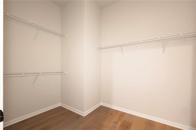 spacious closet with hardwood / wood-style floors