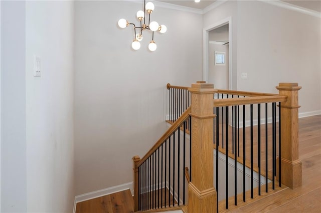 staircase with wood-type flooring, an inviting chandelier, and ornamental molding