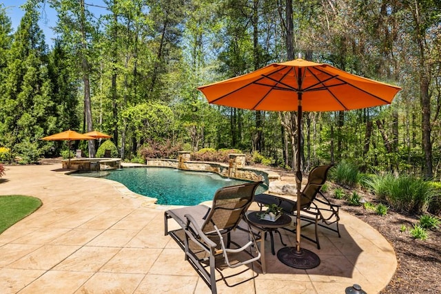 view of pool featuring a patio and a pool with connected hot tub