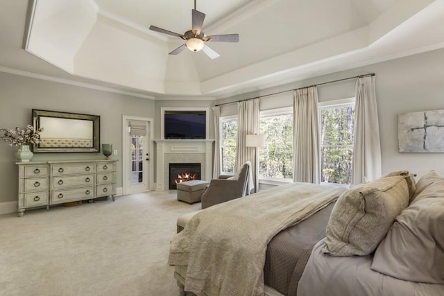 carpeted bedroom featuring crown molding, a lit fireplace, multiple windows, and a tray ceiling