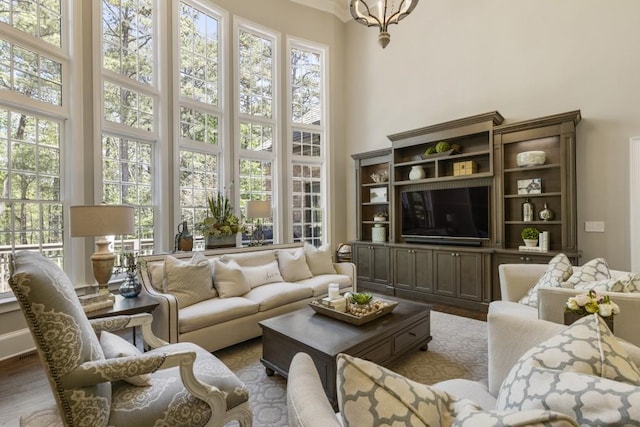 living room featuring wood finished floors, a high ceiling, and a healthy amount of sunlight