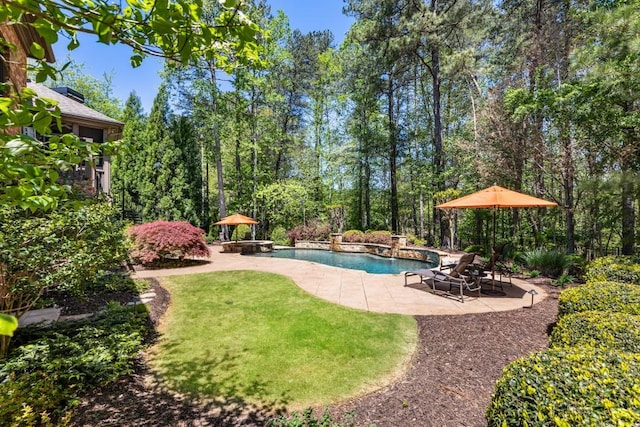 pool featuring a yard and a patio