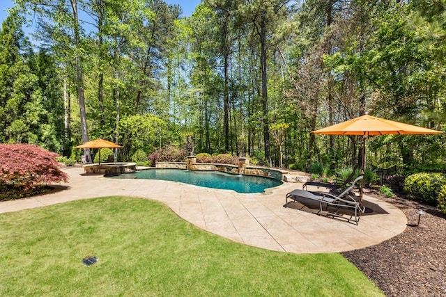 pool with a lawn and a patio
