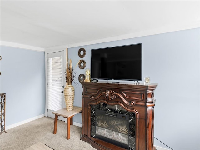 room details with baseboards and carpet flooring