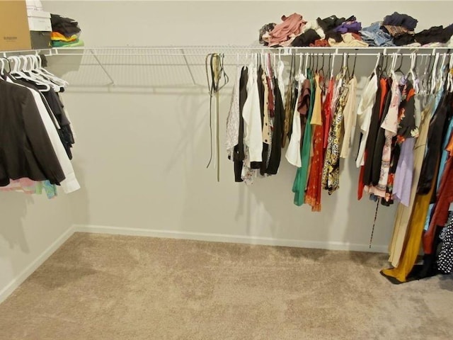 walk in closet featuring carpet flooring