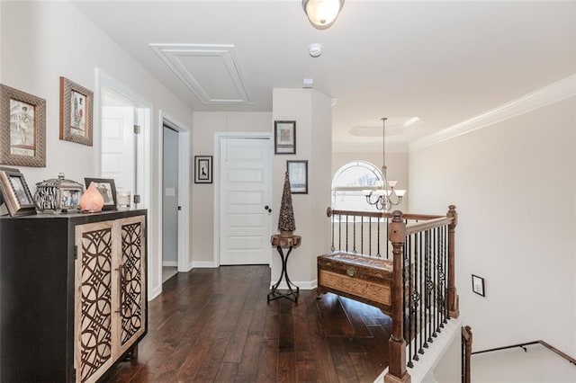 hallway with crown molding, dark wood-type flooring, and an inviting chandelier