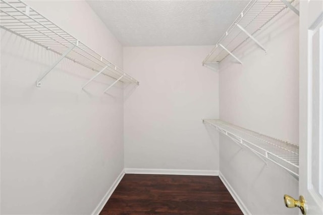 walk in closet featuring wood finished floors