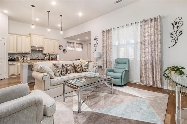 living room featuring light hardwood / wood-style flooring and a healthy amount of sunlight