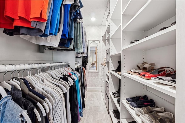 view of walk in closet