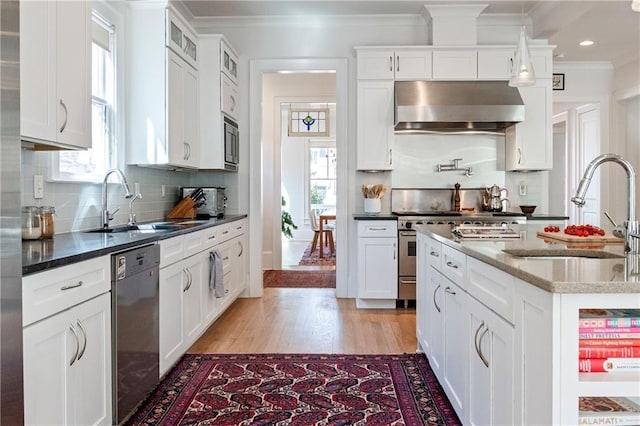 kitchen with ornamental molding, a sink, ventilation hood, appliances with stainless steel finishes, and light wood finished floors