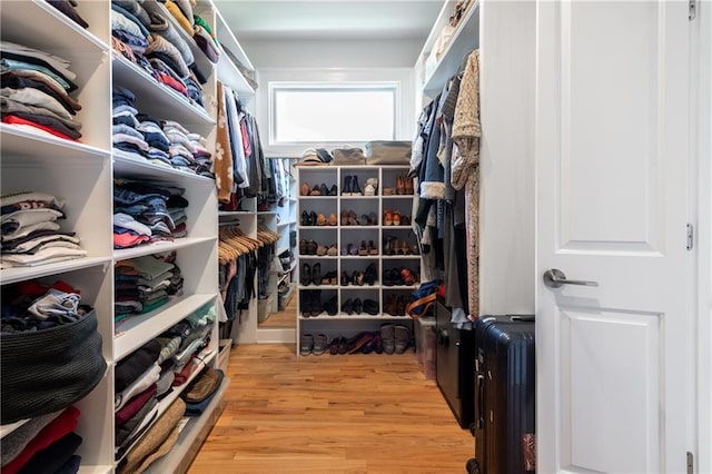 spacious closet featuring light wood-style flooring and radiator heating unit