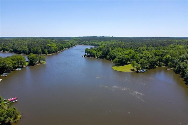 aerial view with a water view and a view of trees