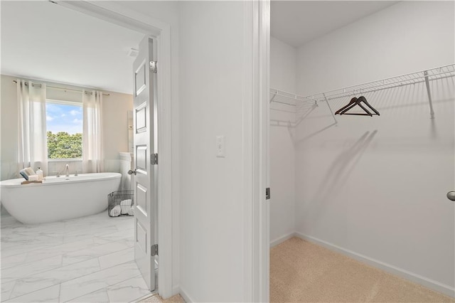 bathroom with a bathing tub