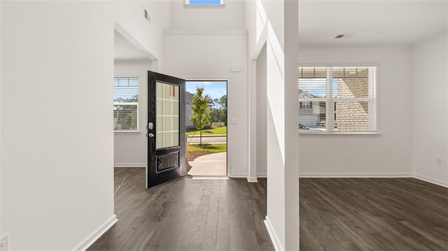 foyer entrance with dark hardwood / wood-style floors, a wealth of natural light, and crown molding