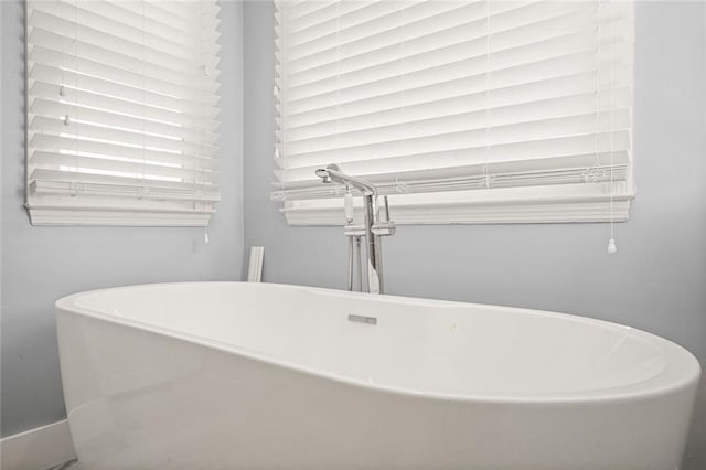 bathroom featuring a freestanding tub