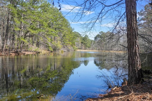 property view of water with a wooded view