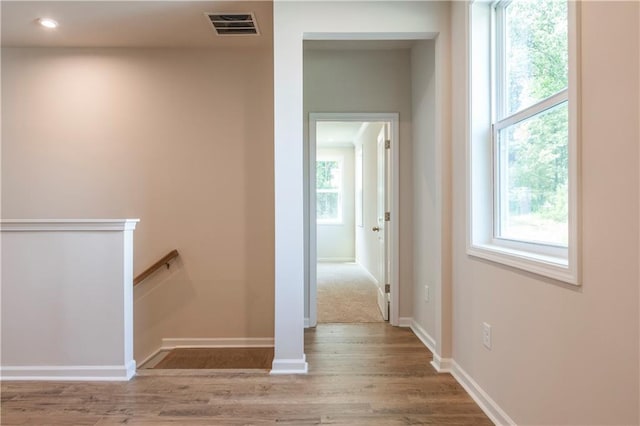 hallway featuring a wealth of natural light and light hardwood / wood-style flooring