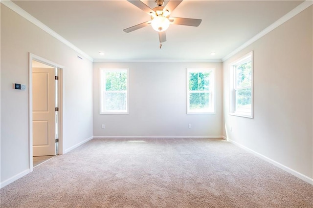 carpeted empty room featuring ceiling fan and ornamental molding