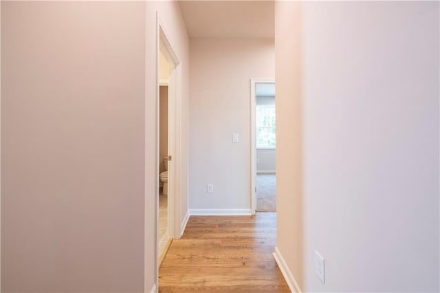 corridor with light wood-type flooring