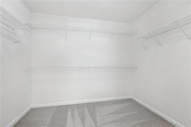 walk in closet with carpet