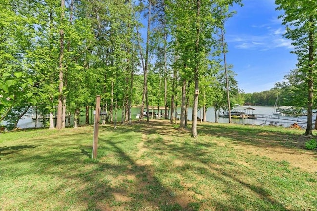 274 Ramey Rd, Westminster, SC 29693 - view of green lawn featuring a water view