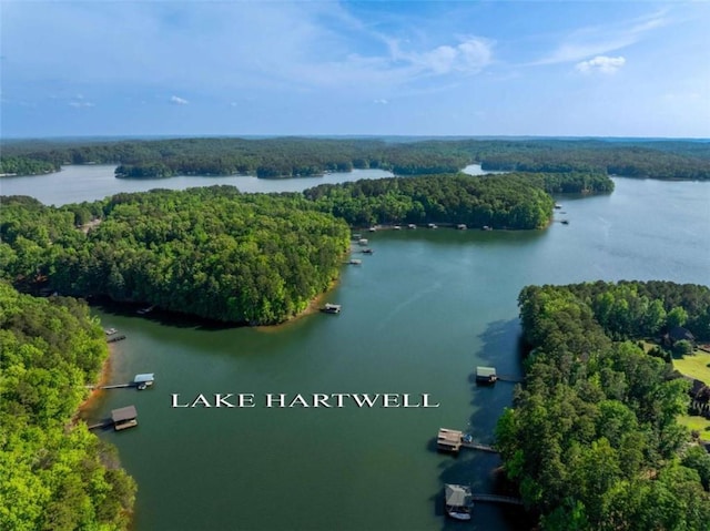 274 Ramey Rd, Westminster, SC 29693 - drone / aerial view of a heavily wooded area and a large body of water