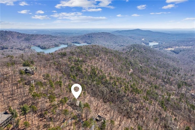 bird's eye view with a forest view and a water and mountain view