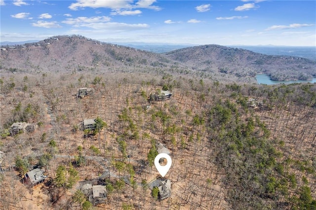 view of mountain feature with a water view and a view of trees