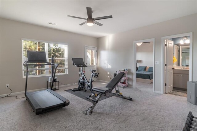 360 Winston Cir, Canton, GA 30114 - workout room featuring plenty of natural light, a ceiling fan, visible vents, and carpet floors